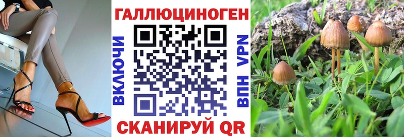 Псилоцибиновые грибы прущие грибы  hydra ссылки  Переславль-Залесский 